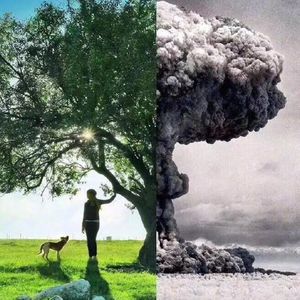 自恋人格障碍NPD