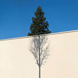 014.内耗的解药，不只是“课题分离”。