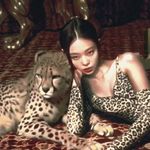 KRYSTAL大美女