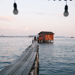 zz早睡早起多喝水