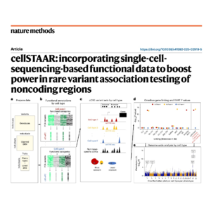388-cellSTAAR: Boosting Rare Variant Association Testing