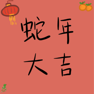 【新年特辑】蛇年快乐！