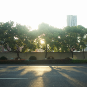 被音乐温暖的冬天