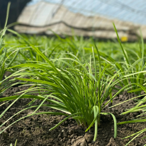 005.炒股这能赚钱的话，我们连户都开不了