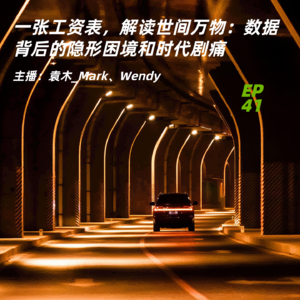 41.一张工资表，解读世间万物：数据背后的隐形困境和时代剧痛