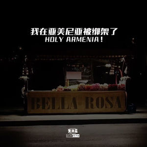 vol.207 我在亚美尼亚被绑架了