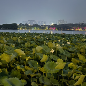 EP015 六月，又要开始说了再见