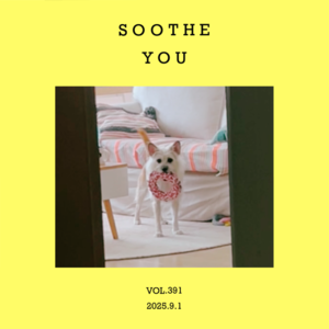 vol.391：些些宽心，点点安慰