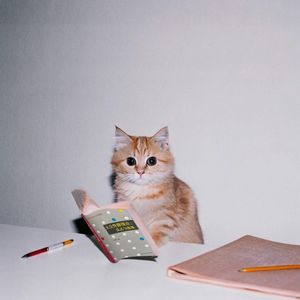 podcaster-avatar