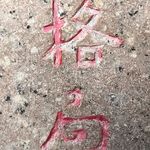 我想做只啄木鸟