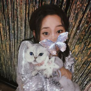 一碗味噌汤