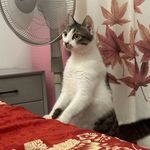 叫你放下二郎腿