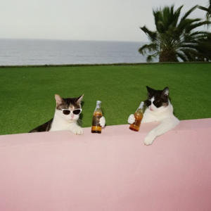 关于'Friends' 真诚就好！