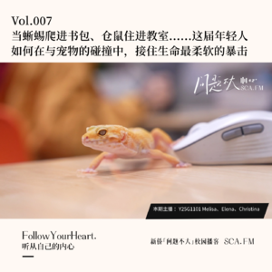 Vol.007 当蜥蜴爬进书包、仓鼠住进教室......这届年轻人如何在与宠物的碰撞中，接住生命最柔软的暴击