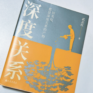 34 武志红的《深度关系》是讲什么的