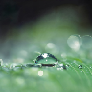 EP05 生成对抗网络GAN识别金融市场异常