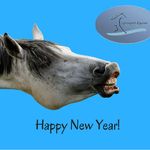 海洋扑不灭烈日