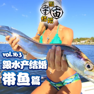 vol.163 跟水产结婚 带鱼篇