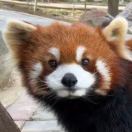 数虾米