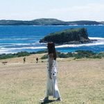 萝卜不吃葡萄皮