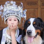 Elena与她的伯恩山