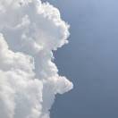 金金金鑫鑫鑫鑫鑫鑫