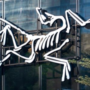 Vol.85 飘了的始祖鸟，开始玩“火”