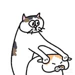 阿catttttttt