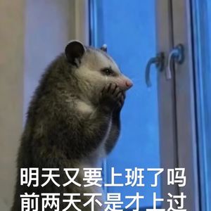 FM213:🎙️刚の周日推:不问来日公事 只享今日欢音