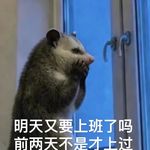 FM213:🎙️刚の周日推:不问来日公事 只享今日欢音