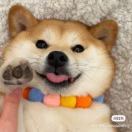 每天都要开心鸭_Ctvl