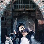 紫紫飞过一地月光