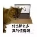 猫再转生