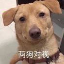 战逃战