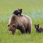 Juju & Sherely: Growth and Motherhood 1