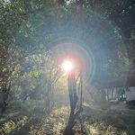 全世界最好的妙