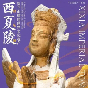 中国大运河博物馆“西夏陵：贺兰山麓的世界文化遗产”特展（上）