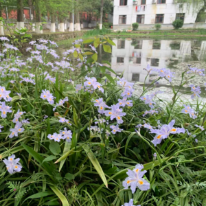 四月尾声,一些过渡时间的碎片