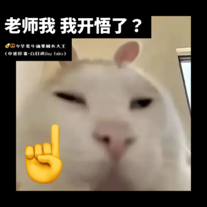 012 什么时候意识到自己“开智了”？