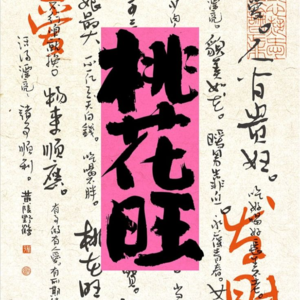 vol.39 2025全网最实操正缘桃花修炼手册!手把手带你摆脱恋爱焦虑!渣男走开!