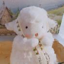 羊梅酱是羊羊啊