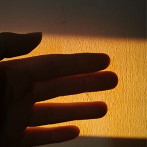 像一只大雁，朝远方迁徙