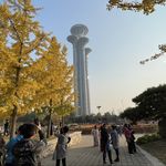 沉思什么呢