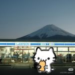 有关X