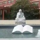 一只特立独行的鹅