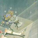 晒太阳的蝶蝶猫