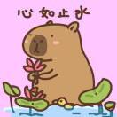 呼噜噜噜_Aeot