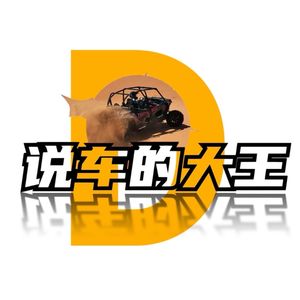 说车的大王