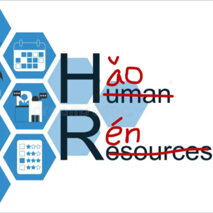 Ep.6 拿到全球300个名额之一之后,我成了新西兰一名公务员