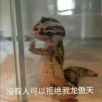 看什么看鬼佬